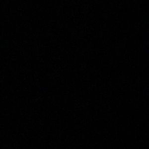 Meet your Posher, Riley